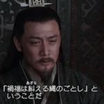 【三国志に学ぶ】人生は山あり谷あり~禍福は糾える縄の如し~塞翁が馬